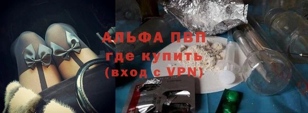 индика Белоозёрский