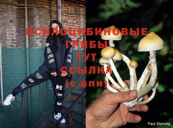 мескалин Баксан