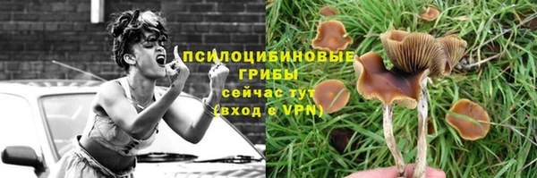 мескалин Баксан