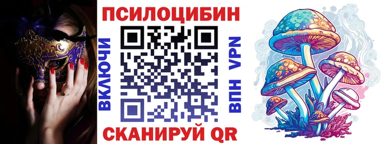 Купить где  Демидов  Псилоцибиновые грибы Psilocybe 
